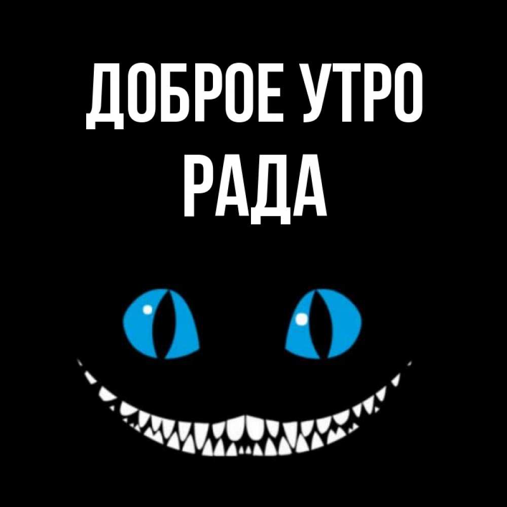 Доброе утро миша картинки