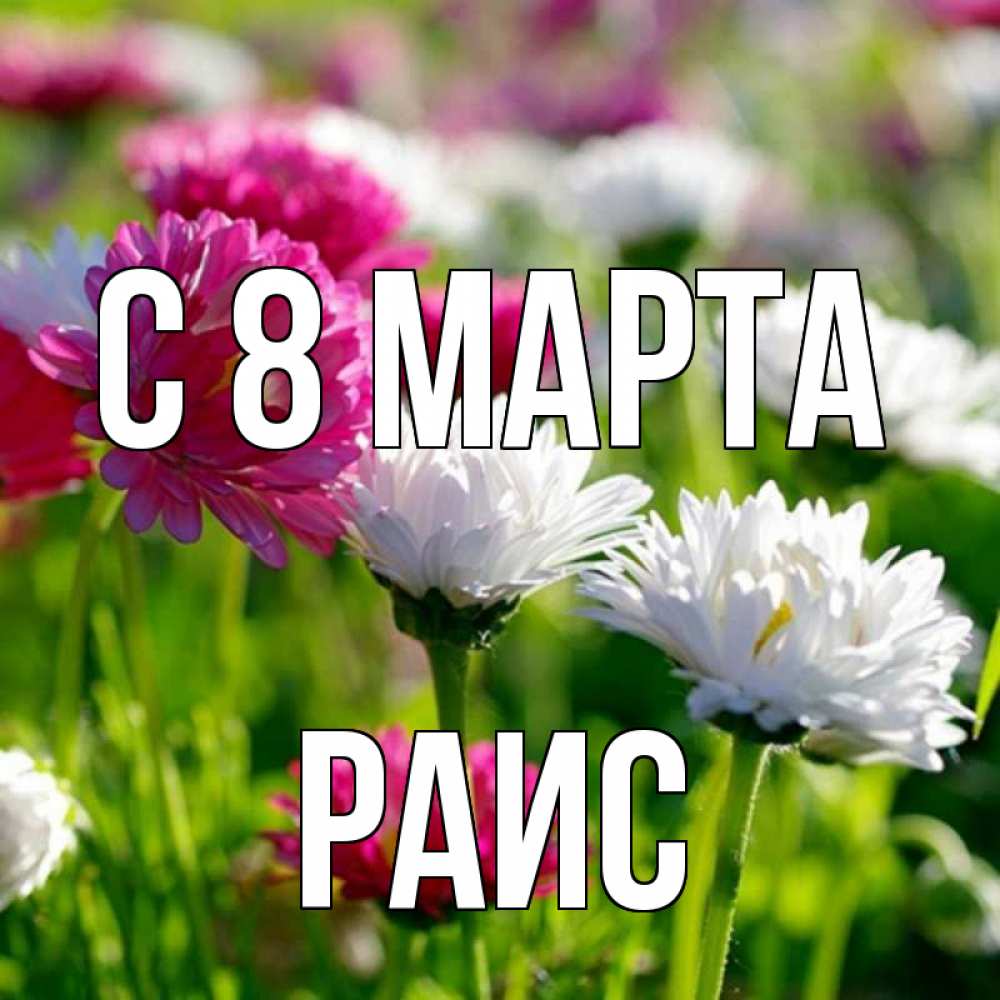 Открытка на каждый день с именем, Раис С 8 МАРТА международный женский день 1 Прикольная открытка с пожеланием онлайн скачать бесплатно 