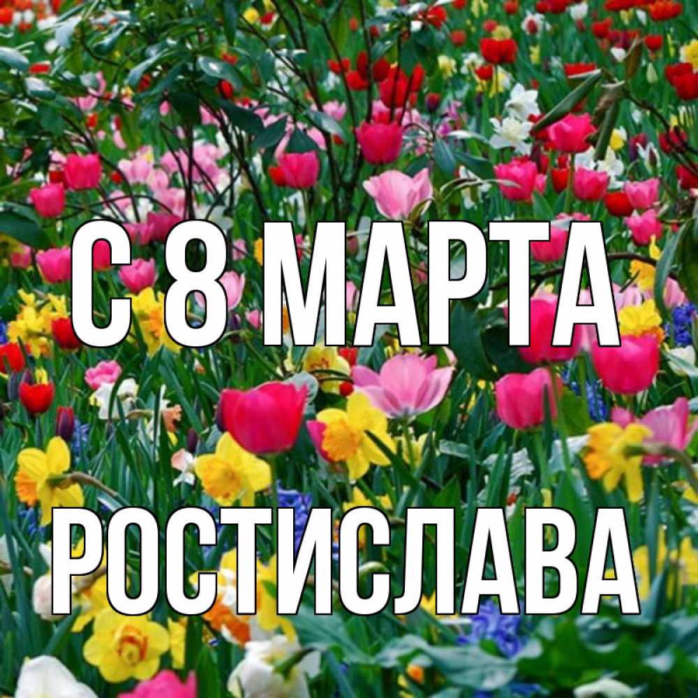 Открытка на каждый день с именем, Ростислава С 8 марта с международным женским днем поздравления для женщины Прикольная открытка с пожеланием онлайн скачать бесплатно 