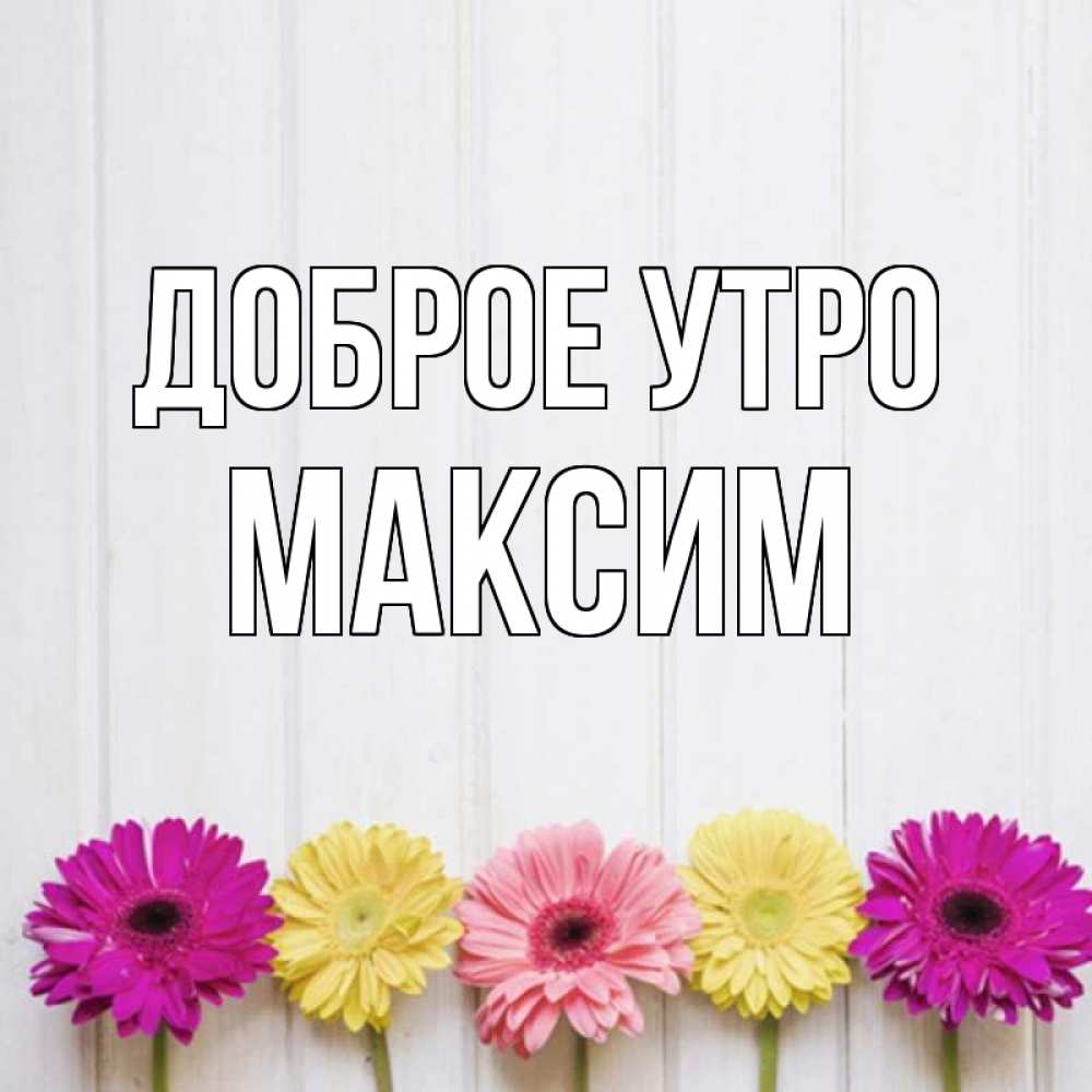 Доброе утро олюшка картинки