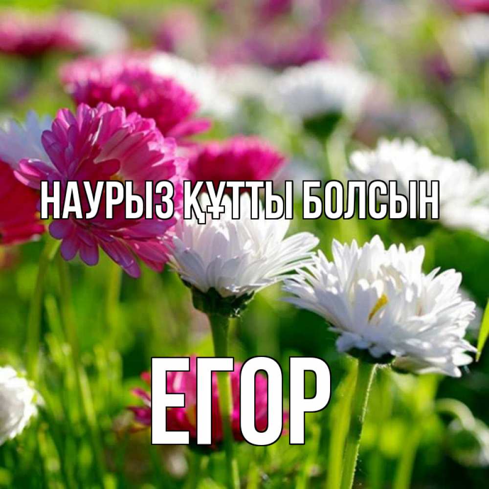 Открытка на каждый день с именем, Егор Наурыз құтты болсын наурыз Прикольная открытка с пожеланием онлайн скачать бесплатно 