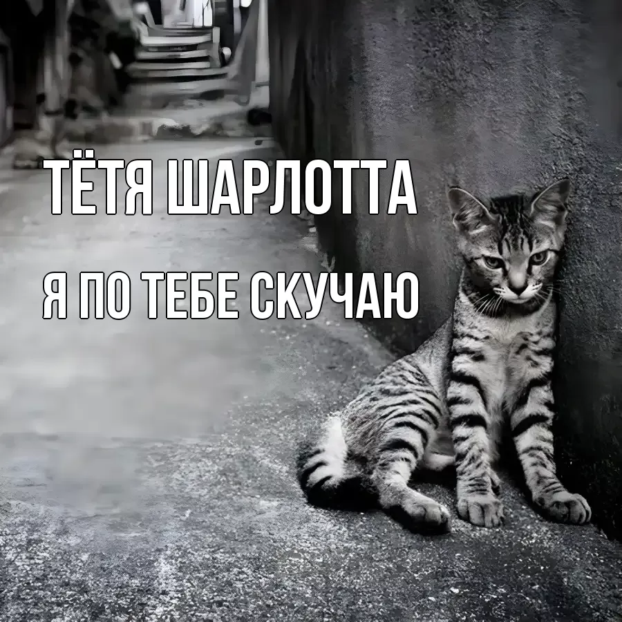 Открытка на каждый день с именем, Тётя-Шарлотта Я по тебе скучаю одиноко котику Прикольная открытка с пожеланием онлайн скачать бесплатно 