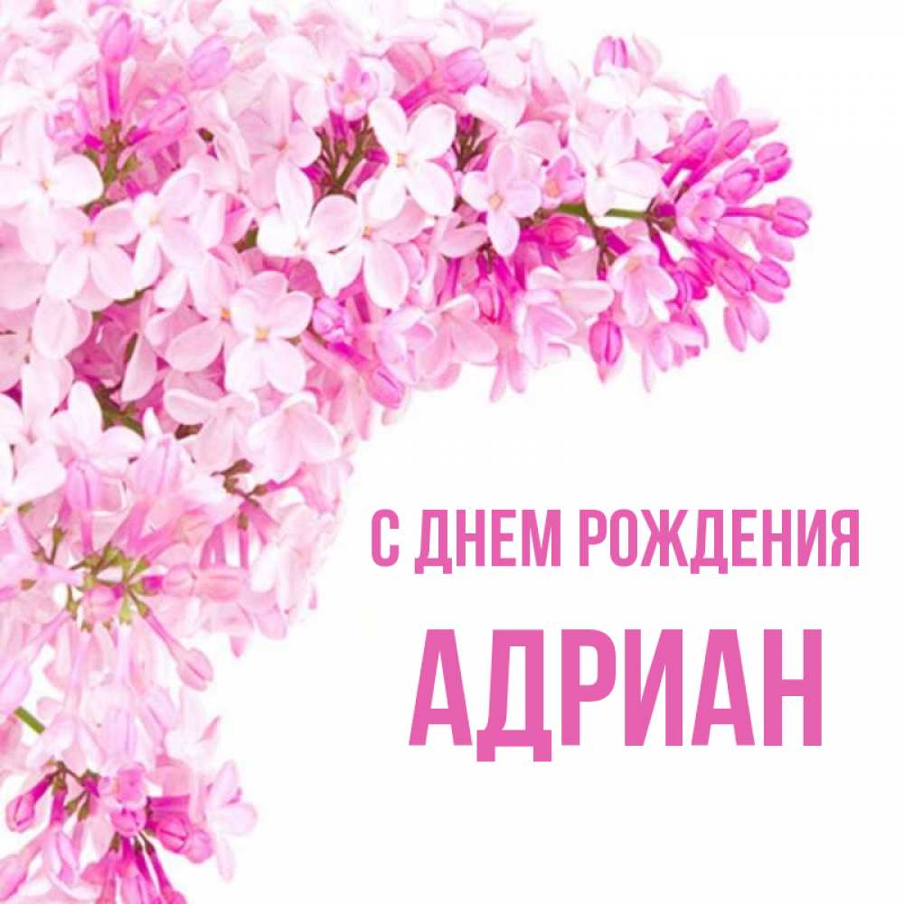 Картинки с днем рождения адриана