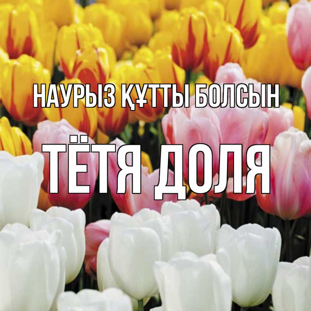 Открытка на каждый день с именем, Тётя-Доля Наурыз құтты болсын разноцветные цветы Прикольная открытка с пожеланием онлайн скачать бесплатно 