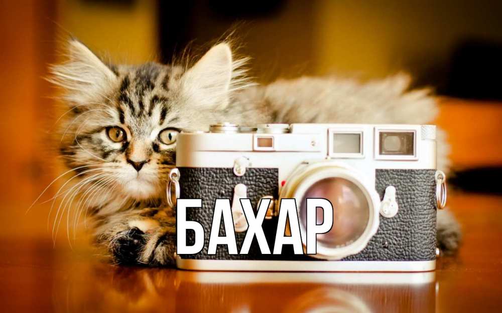 Открытка на каждый день с именем, Бахар Главная с днем фотографа Прикольная открытка с пожеланием онлайн скачать бесплатно 