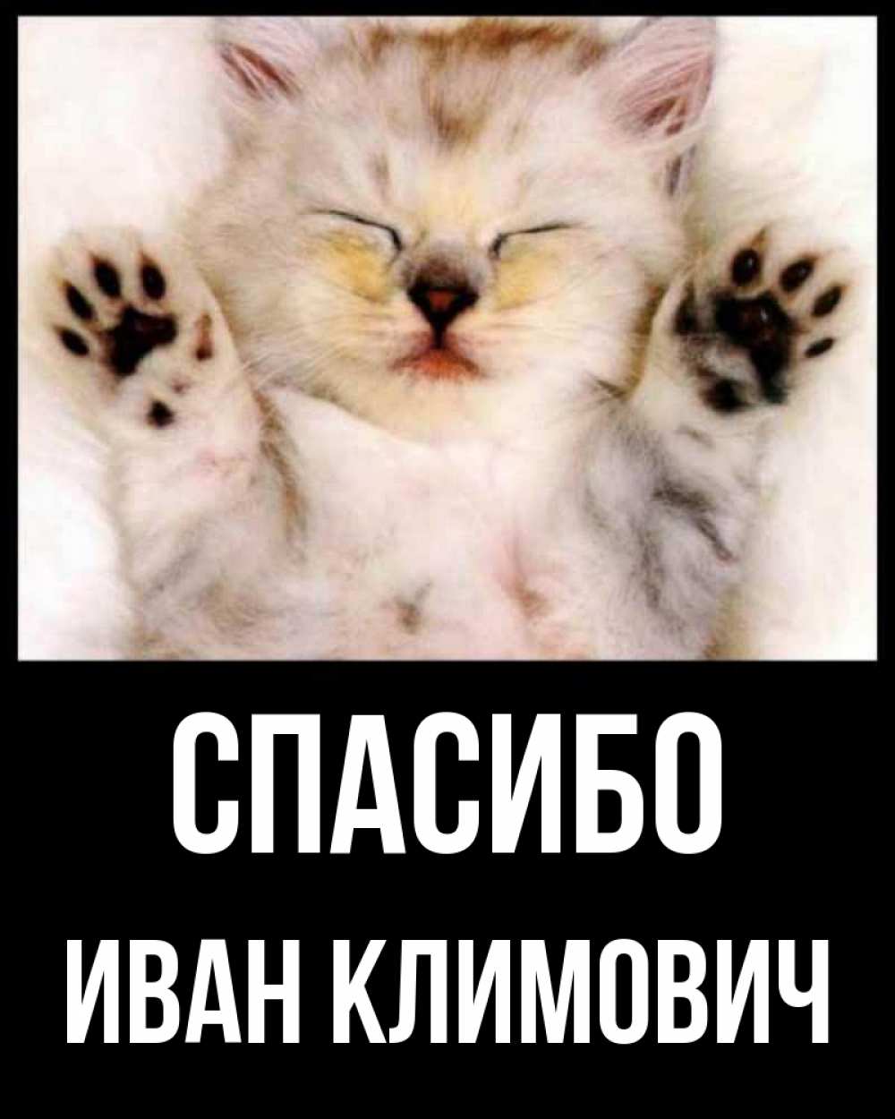 Открытка спасибо с котиком