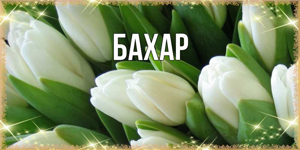 Открытка на каждый день с именем, Бахар Главная поздравляем с наурызом Прикольная открытка с пожеланием онлайн скачать бесплатно 