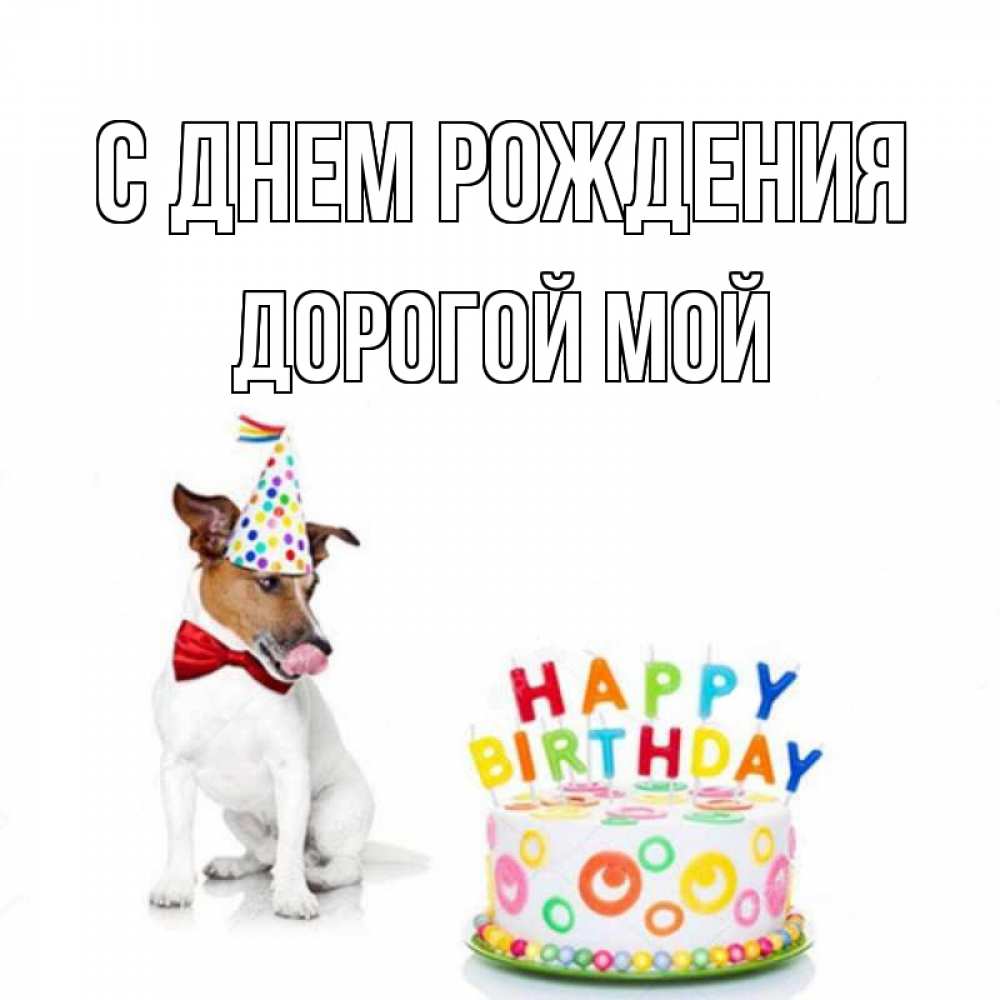 Открытка на каждый день с именем, Дорогой-мой С днем рождения праздник Прикольная открытка с пожеланием онлайн скачать бесплатно 