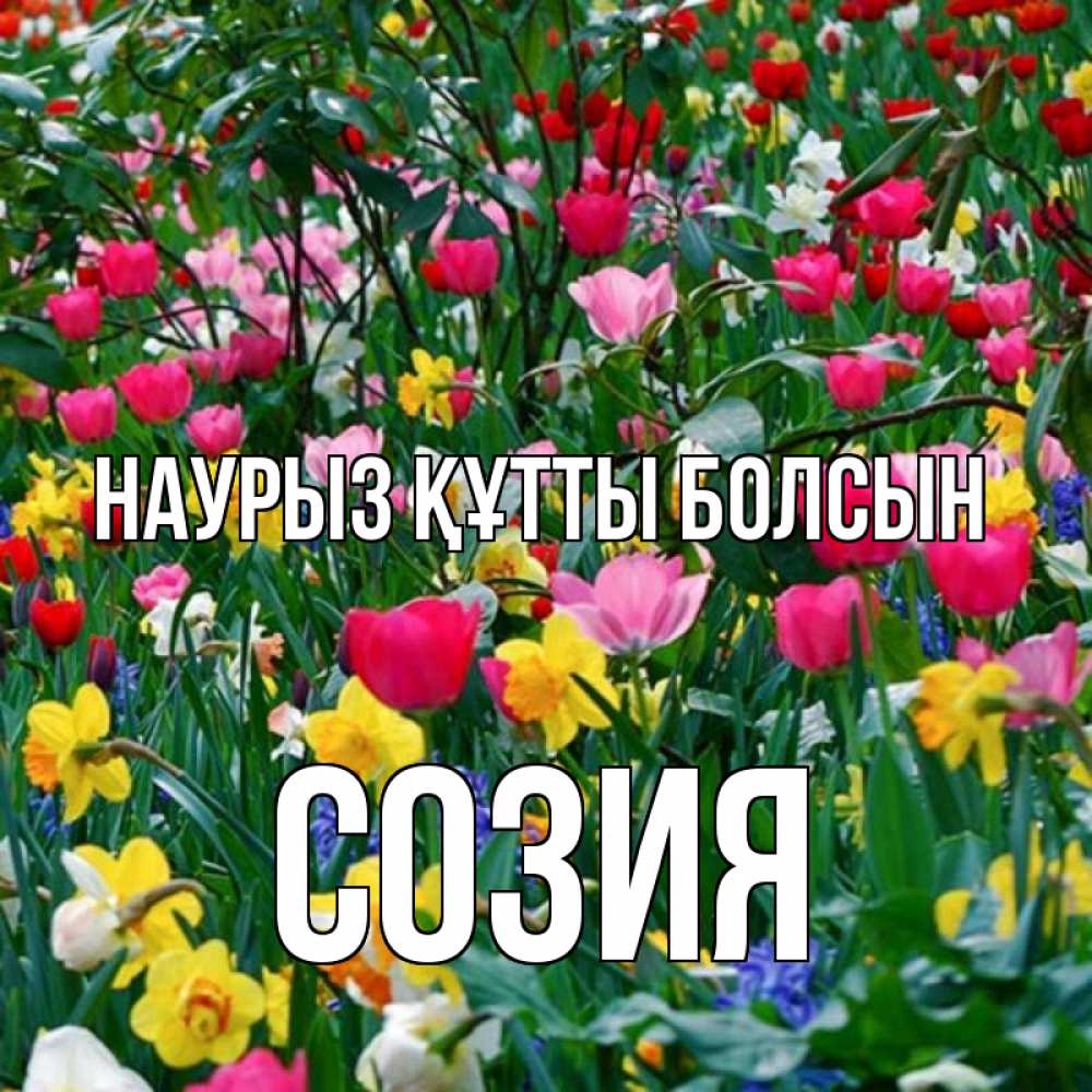 Открытка на каждый день с именем, Созия Наурыз құтты болсын с наурызом поздравления для женщины Прикольная открытка с пожеланием онлайн скачать бесплатно 