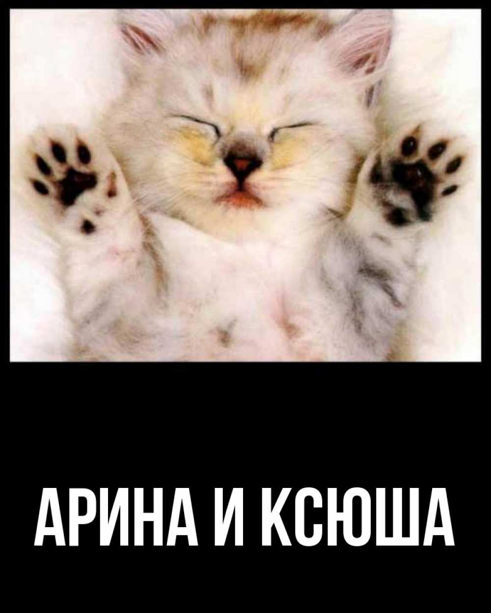 Открытка на каждый день с именем, Арина-и-Ксюша Главная маленький котенок Прикольная открытка с пожеланием онлайн скачать бесплатно 