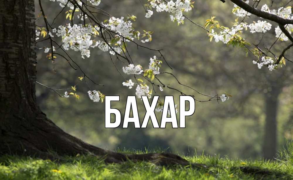 Открытка на каждый день с именем, Бахар Главная С 1 мая Прикольная открытка с пожеланием онлайн скачать бесплатно 