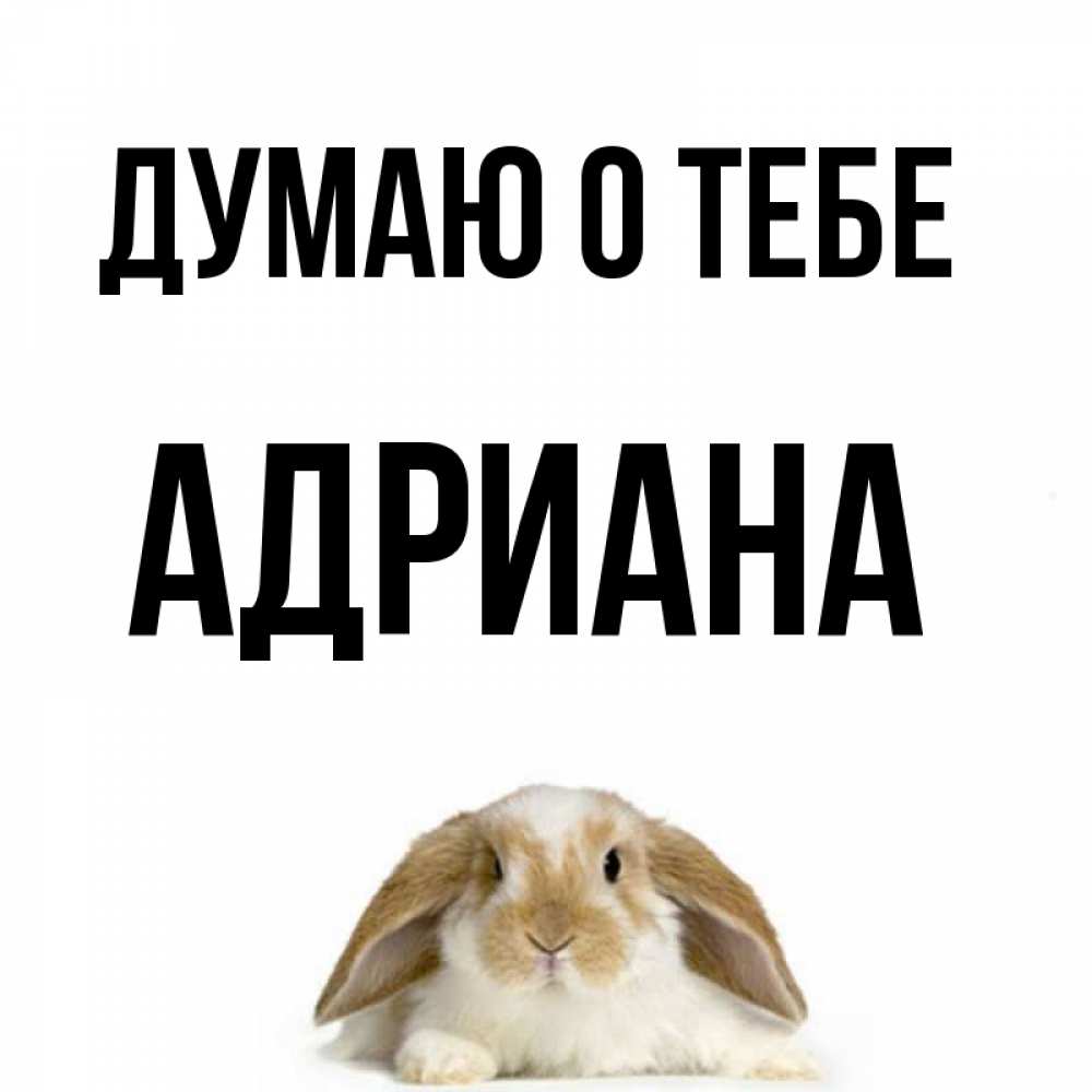 Открытка на каждый день с именем, Адриана Думаю о тебе подписать своими руками онлайн Прикольная открытка с пожеланием онлайн скачать бесплатно 