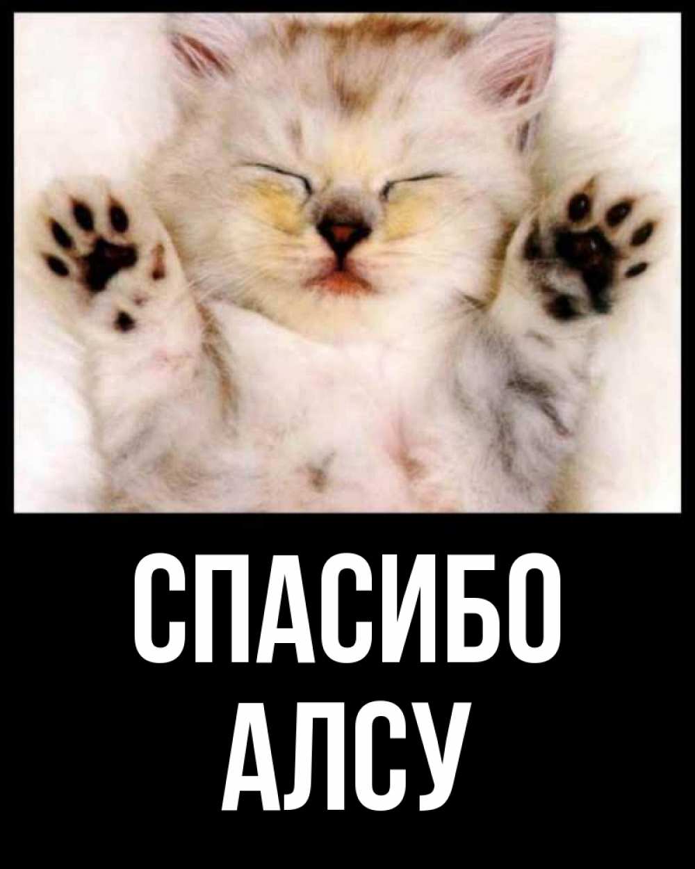 Открытка на каждый день с именем, Алсу Спасибо маленький котенок Прикольная открытка с пожеланием онлайн скачать бесплатно 
