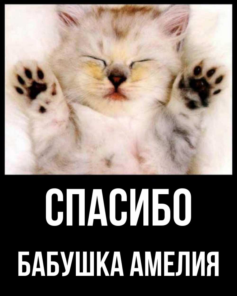Открытка на каждый день с именем, Бабушка-Амелия Спасибо маленький котенок Прикольная открытка с пожеланием онлайн скачать бесплатно 