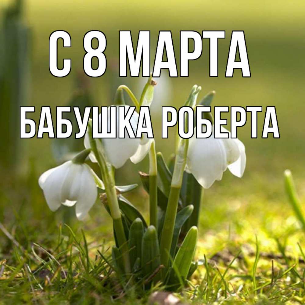 Картинка С 8 МАРТА, Бабушка Роберта