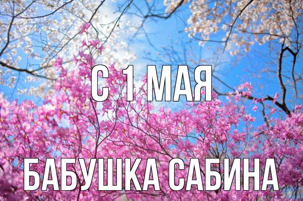 Открытка на каждый день с именем, Бабушка-Сабина С 1 мая С 1 мая Прикольная открытка с пожеланием онлайн скачать бесплатно 