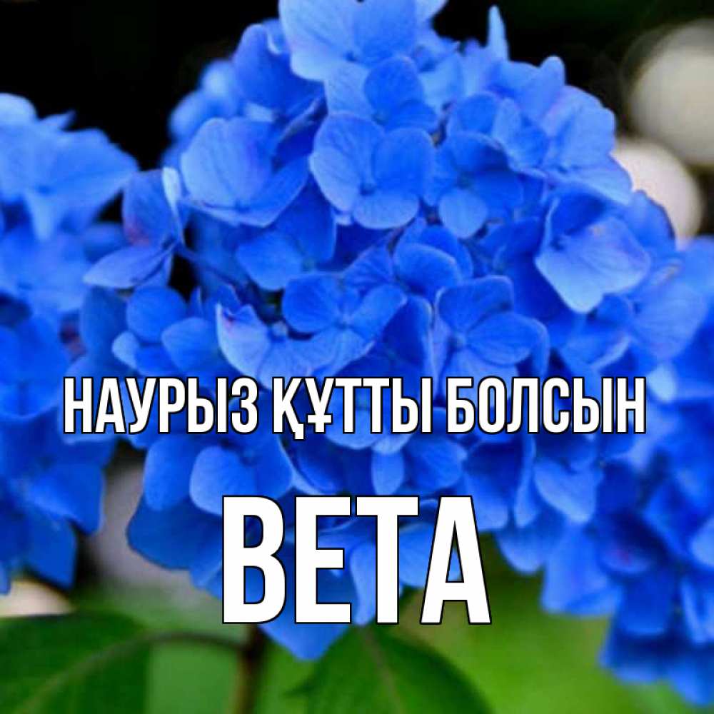 Открытка на каждый день с именем, Вета Наурыз құтты болсын синие цветы Прикольная открытка с пожеланием онлайн скачать бесплатно 