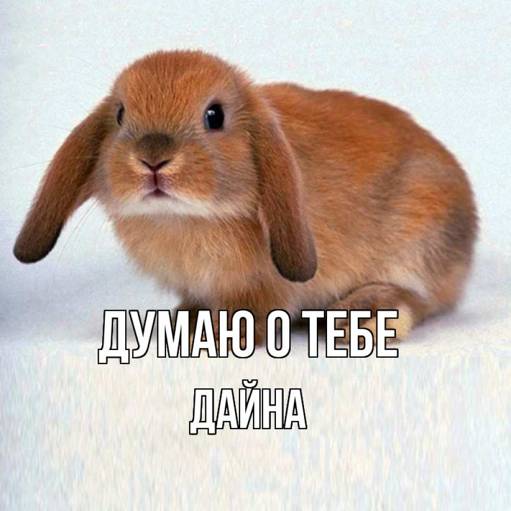 Открытка на каждый день с именем, Дайна Думаю о тебе кроль коричневый Прикольная открытка с пожеланием онлайн скачать бесплатно 