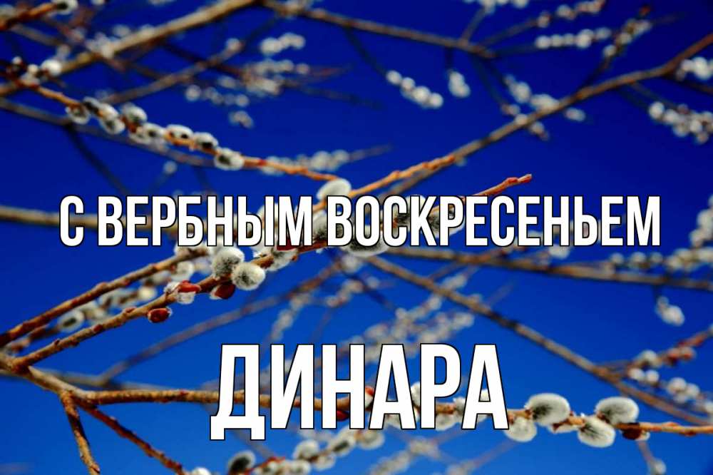Открытка на каждый день с именем, Динара С вербным воскресеньем верба Прикольная открытка с пожеланием онлайн скачать бесплатно 