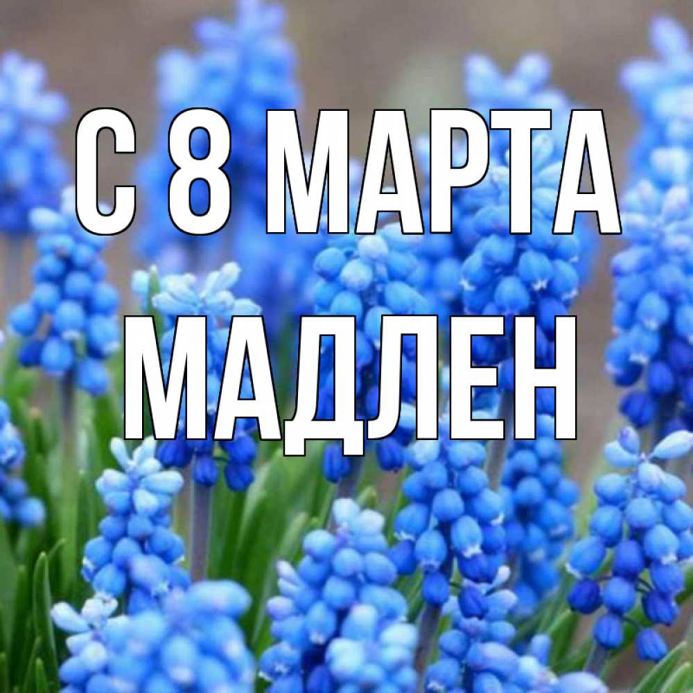 Открытка на каждый день с именем, Мадлен С 8 МАРТА Поздравительная открытка для женщин с цветами на праздничную дату Прикольная открытка с пожеланием онлайн скачать бесплатно 