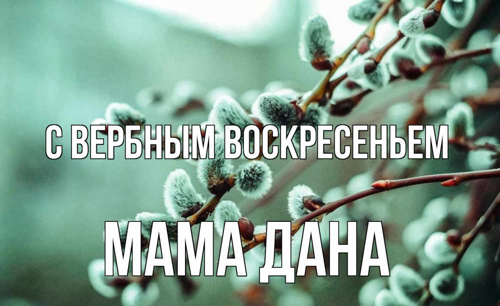 Открытка на каждый день с именем, Мама-Дана С вербным воскресеньем верба Прикольная открытка с пожеланием онлайн скачать бесплатно 