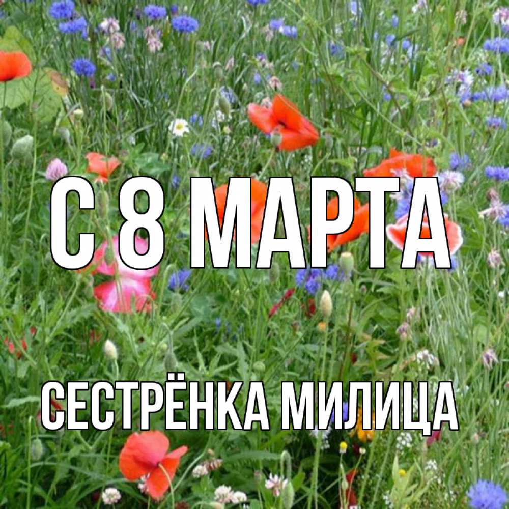 Открытка на каждый день с именем, Сестрёнка-Милица С 8 марта международный женский день 4 Прикольная открытка с пожеланием онлайн скачать бесплатно 