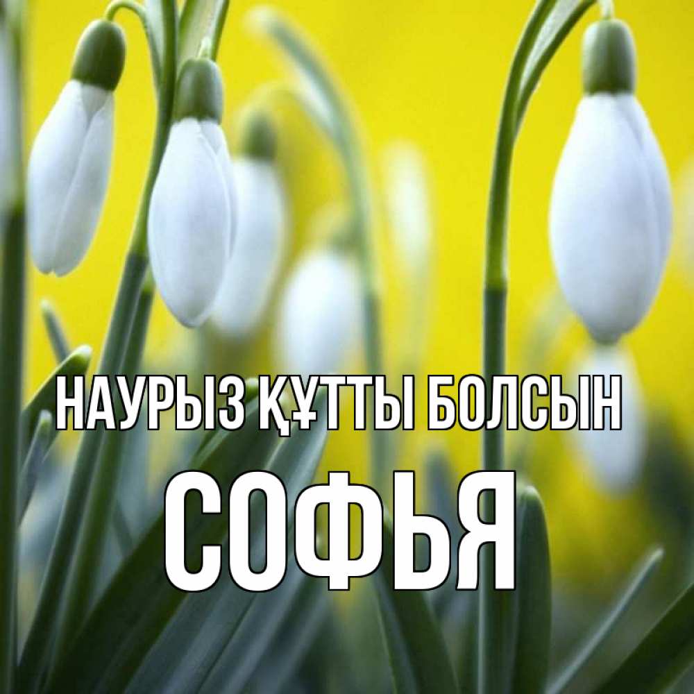Открытка на каждый день с именем, Софья Наурыз құтты болсын весенние цветы Прикольная открытка с пожеланием онлайн скачать бесплатно 