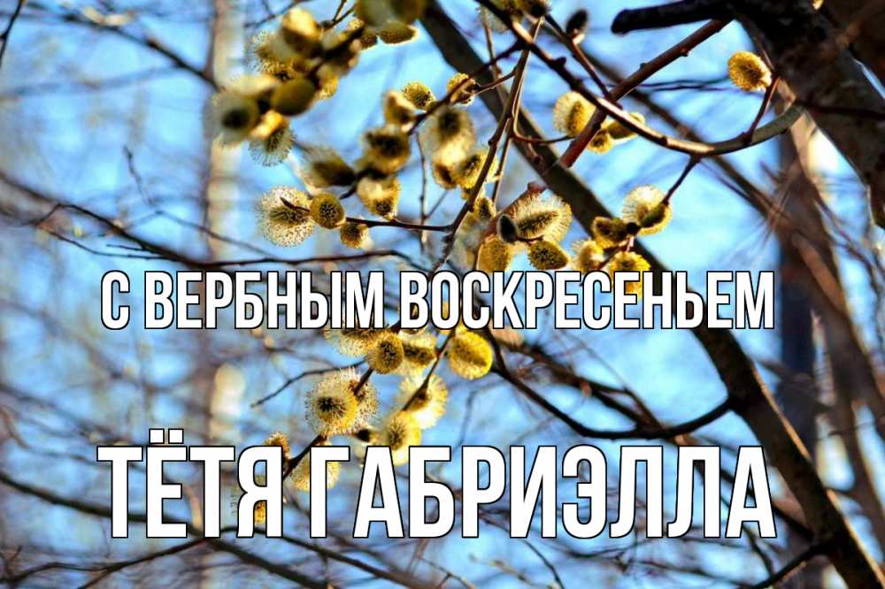 Открытка на каждый день с именем, Тётя-Габриэлла С вербным воскресеньем верба Прикольная открытка с пожеланием онлайн скачать бесплатно 