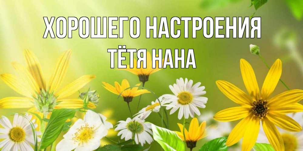 Открытка на каждый день с именем, Тётя-Нана Хорошего настроения цветы Прикольная открытка с пожеланием онлайн скачать бесплатно 
