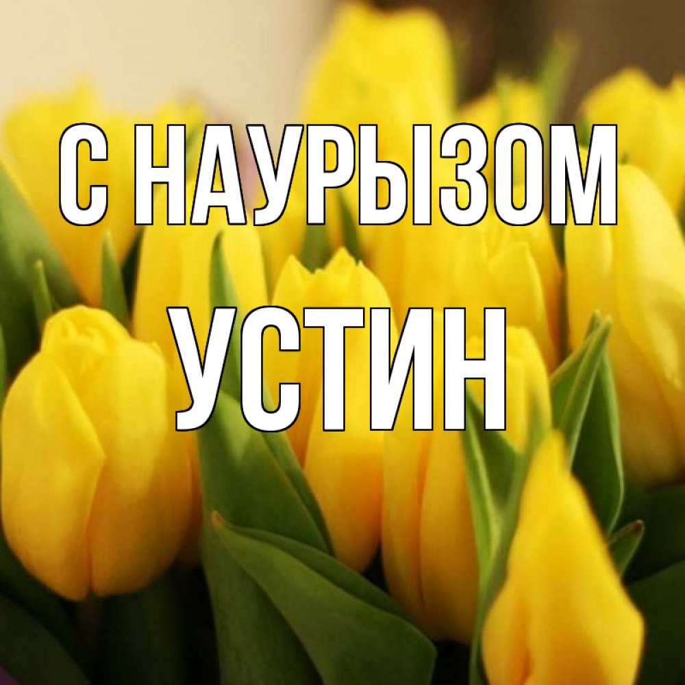Открытка на каждый день с именем, Устин С наурызом цветы Прикольная открытка с пожеланием онлайн скачать бесплатно 