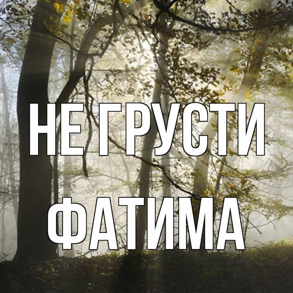 Открытка на каждый день с именем, Фатима Не грусти лес и свет Прикольная открытка с пожеланием онлайн скачать бесплатно 