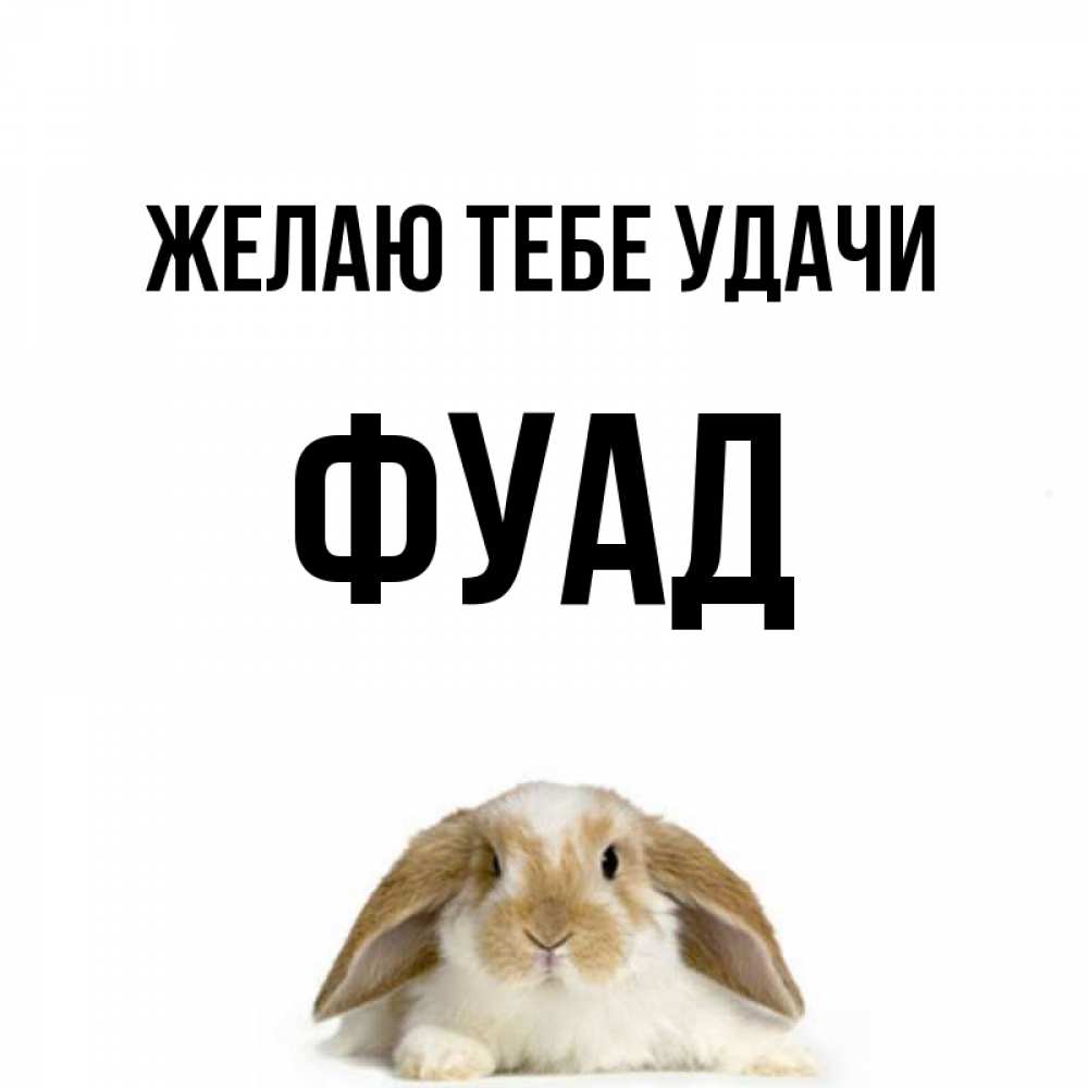 Открытка на каждый день с именем, Фуад Желаю тебе удачи открытки с произвольным текстом который можно вставить в открытку и создать ее самостоятельно бесплатно онлайн Прикольная открытка с пожеланием онлайн скачать бесплатно 