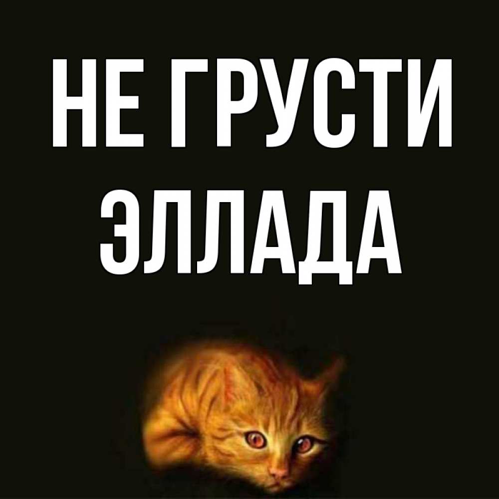 Открытка на каждый день с именем, Эллада Не грусти лежащий кот в темноте Прикольная открытка с пожеланием онлайн скачать бесплатно 