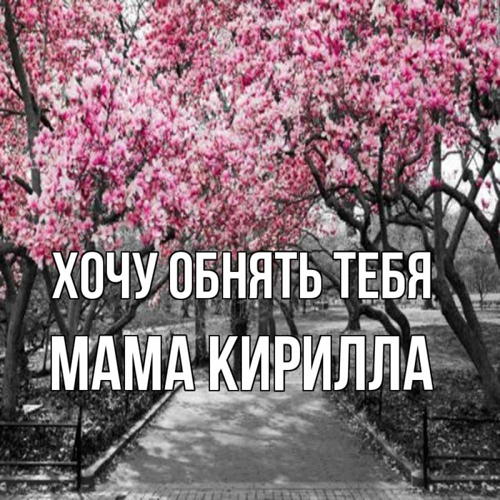 Открытка на каждый день с именем, Мама-Кирилла Хочу обнять тебя обработанное фото Прикольная открытка с пожеланием онлайн скачать бесплатно 
