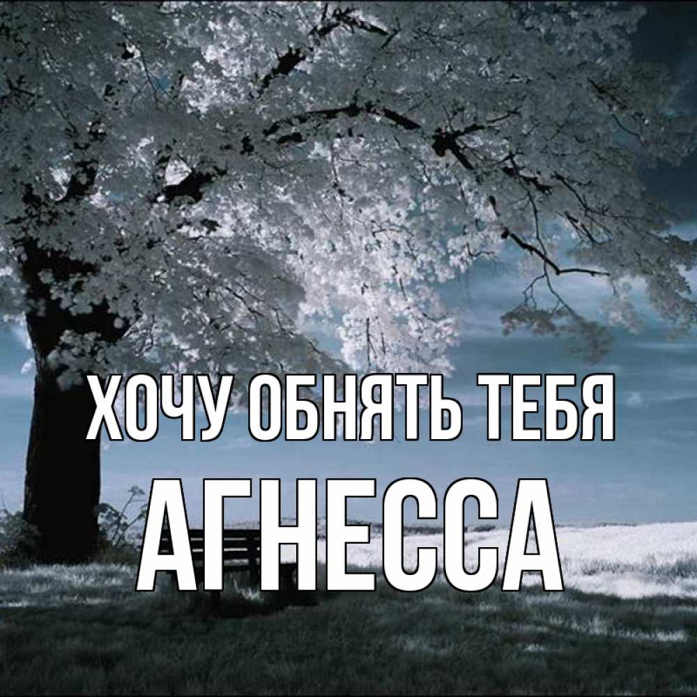 Открытка на каждый день с именем, Агнесса Хочу обнять тебя дерево Прикольная открытка с пожеланием онлайн скачать бесплатно 