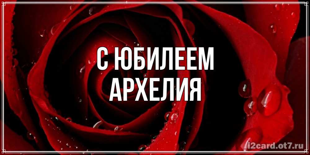 Открытка на каждый день с именем, Архелия С юбилеем крупная бордовая роза Прикольная открытка с пожеланием онлайн скачать бесплатно 