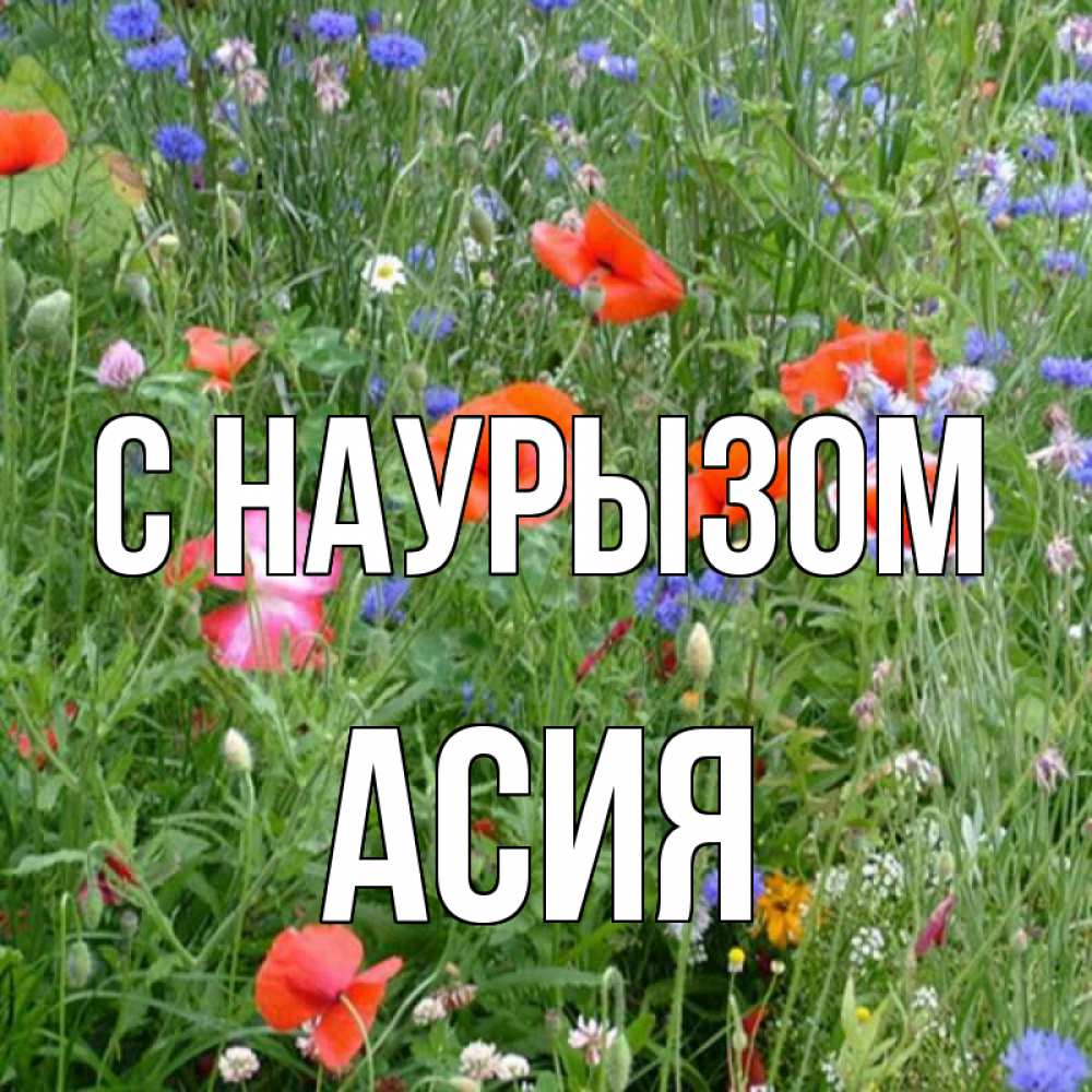 Открытка на каждый день с именем, Асия С наурызом праздник весны наурыз супер открытка Прикольная открытка с пожеланием онлайн скачать бесплатно 