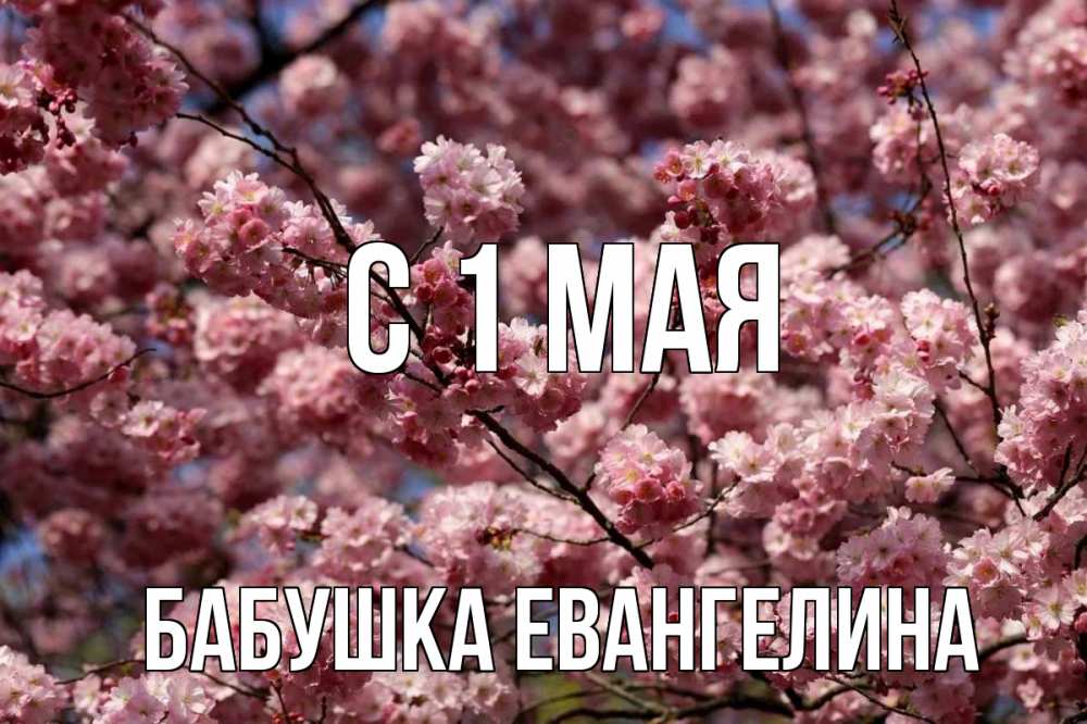 Открытка на каждый день с именем, Бабушка-Евангелина С 1 мая С 1 мая Прикольная открытка с пожеланием онлайн скачать бесплатно 