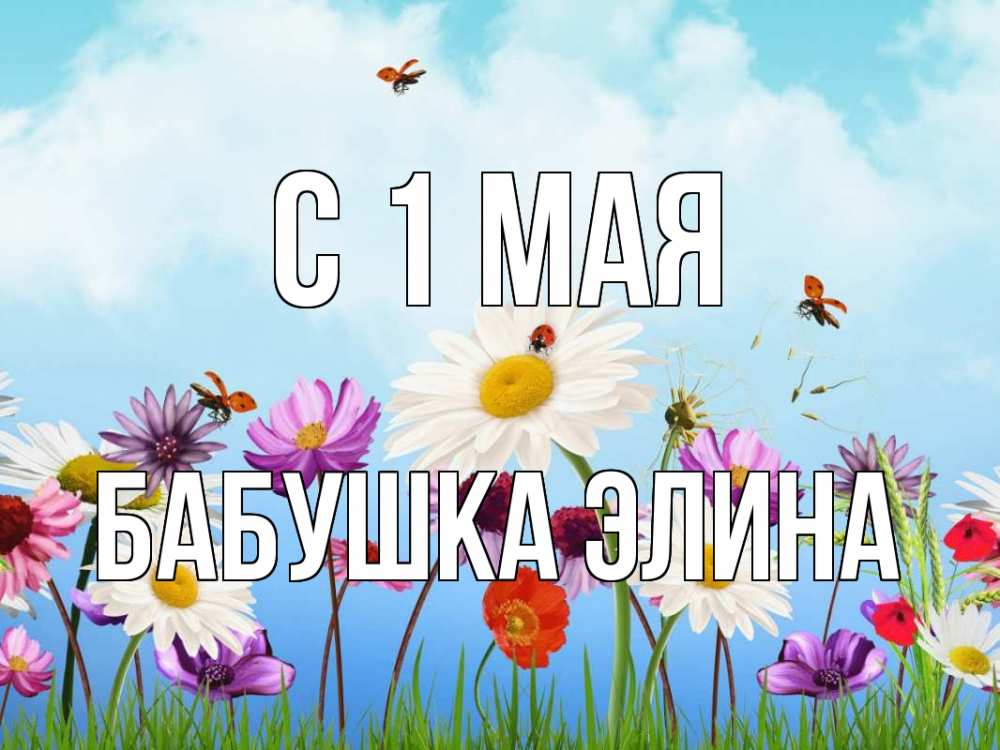 Открытка на каждый день с именем, Бабушка-Элина С 1 мая С 1 мая Прикольная открытка с пожеланием онлайн скачать бесплатно 