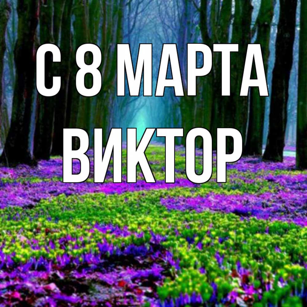 Открытка на каждый день с именем, Виктор С 8 МАРТА фиолетовые цветы в лесу 1 Прикольная открытка с пожеланием онлайн скачать бесплатно 