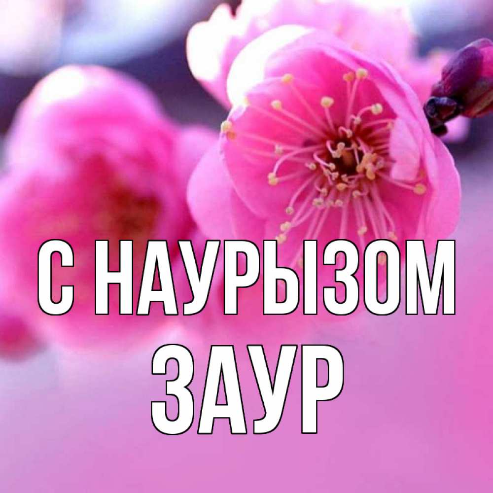Открытка на каждый день с именем, Заур С наурызом международный женский день Прикольная открытка с пожеланием онлайн скачать бесплатно 