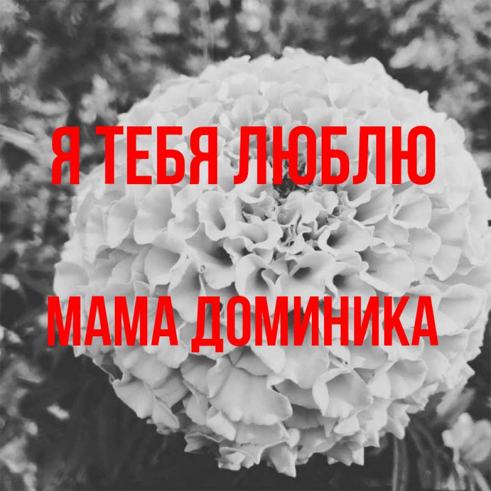 Открытка на каждый день с именем, Мама-Доминика Я тебя люблю подпись Прикольная открытка с пожеланием онлайн скачать бесплатно 
