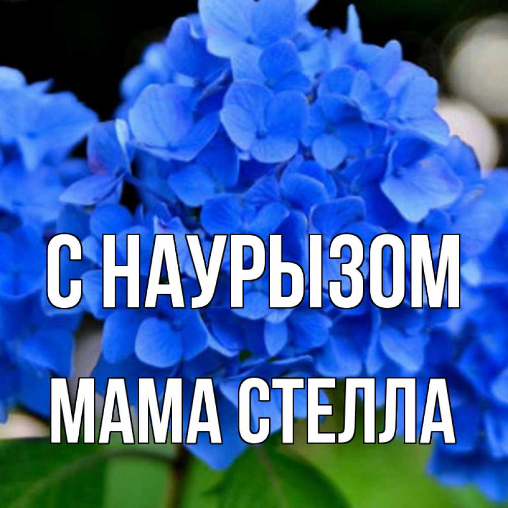 Открытка на каждый день с именем, Мама-Стелла С наурызом синие цветы Прикольная открытка с пожеланием онлайн скачать бесплатно 