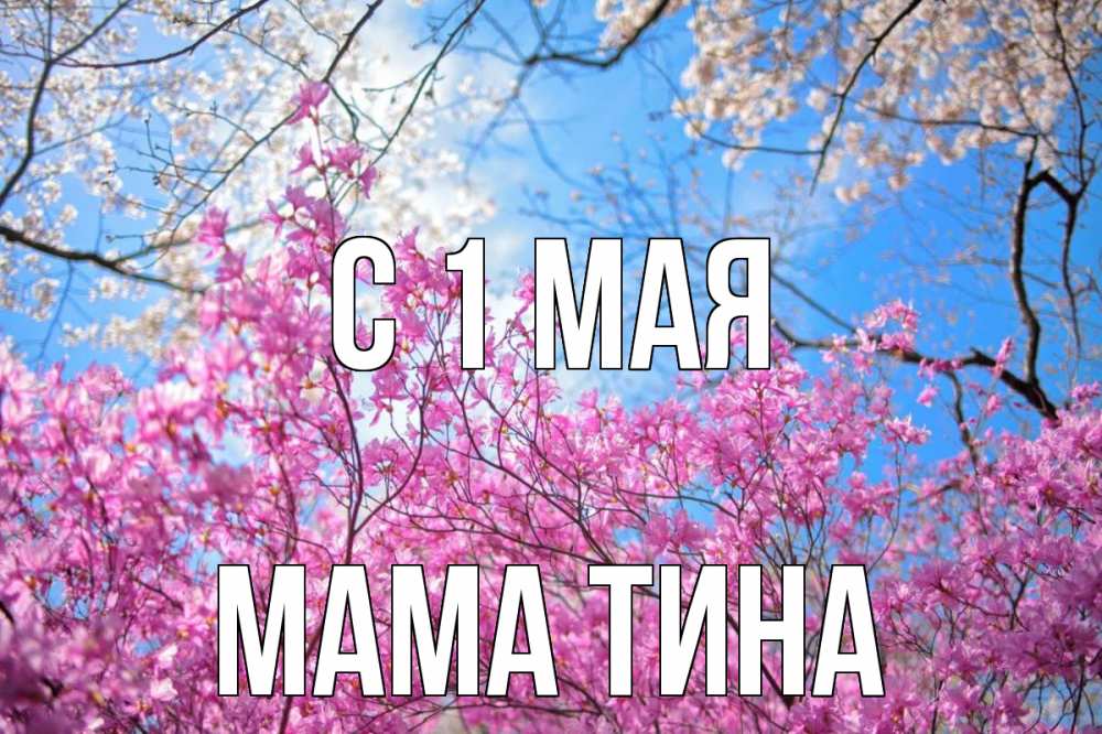 Открытка на каждый день с именем, Мама-Тина С 1 мая С 1 мая Прикольная открытка с пожеланием онлайн скачать бесплатно 