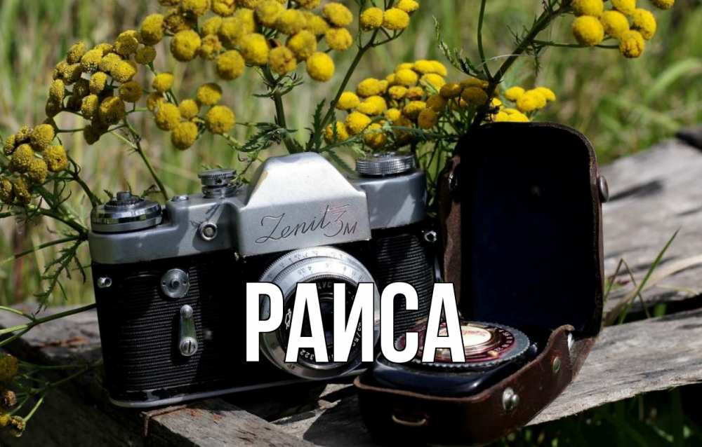Открытка на каждый день с именем, Раиса Главная с днем фотографа Прикольная открытка с пожеланием онлайн скачать бесплатно 