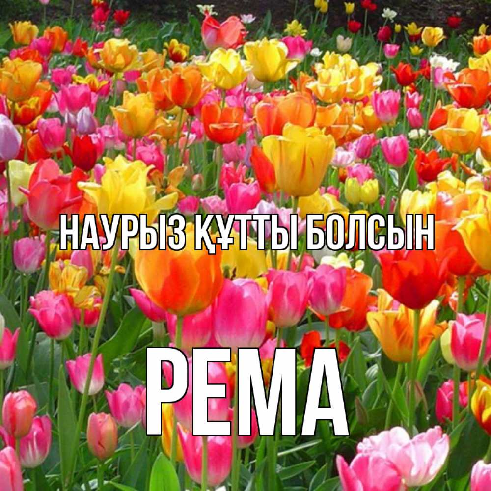 Открытка на каждый день с именем, Рема Наурыз құтты болсын на наурыз  ура ура Прикольная открытка с пожеланием онлайн скачать бесплатно 