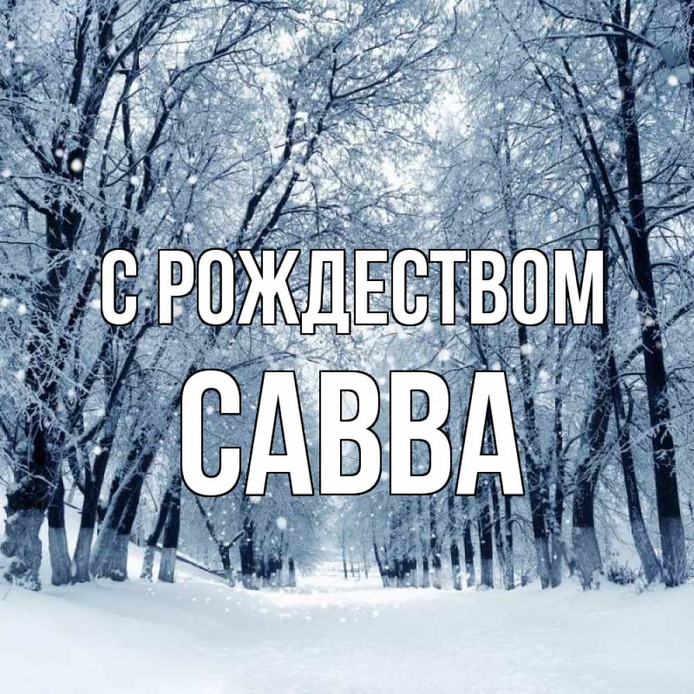 Открытка на каждый день с именем, Савва С рождеством снег, лес, парк Прикольная открытка с пожеланием онлайн скачать бесплатно 