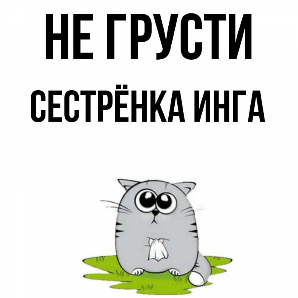 Открытка на каждый день с именем, Сестрёнка-Инга Не грусти грустный котяра Прикольная открытка с пожеланием онлайн скачать бесплатно 