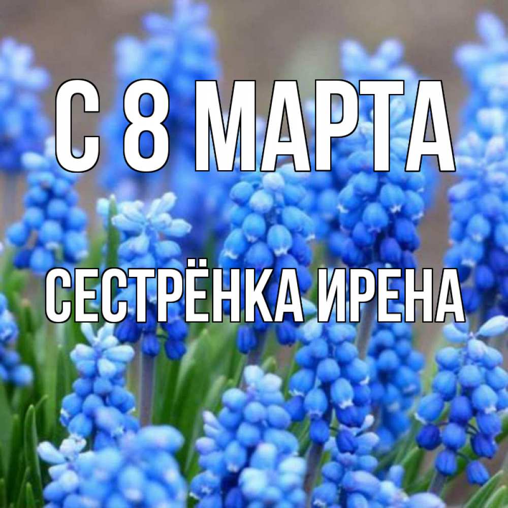Открытка на каждый день с именем, Сестрёнка-Ирена С 8 МАРТА Поздравительная открытка для женщин с цветами на праздничную дату Прикольная открытка с пожеланием онлайн скачать бесплатно 