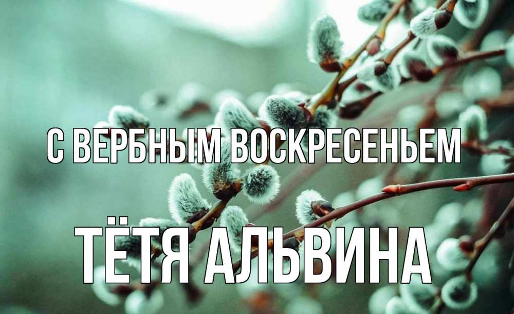 Открытка на каждый день с именем, Тётя-Альвина С вербным воскресеньем верба Прикольная открытка с пожеланием онлайн скачать бесплатно 